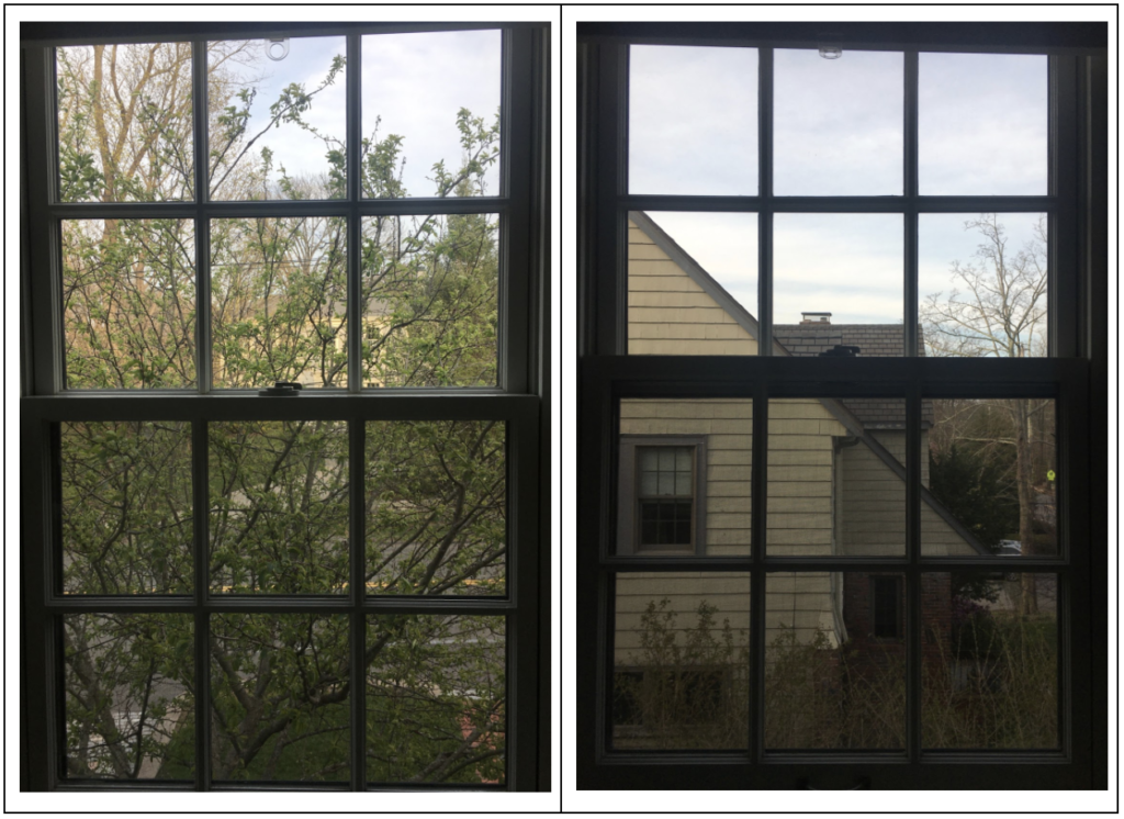 View from Eleanore's bedroom window, shows neighbor's house and tree obstructing view